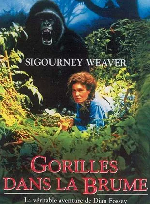 Affiche du film Gorilles dans la brume