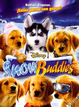 Affiche du film Les Copains des neiges