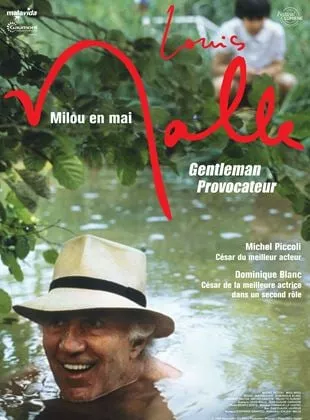 Affiche du film Milou en mai