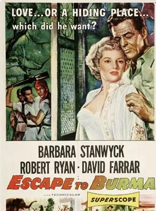 Affiche du film Les Rubis du prince birman