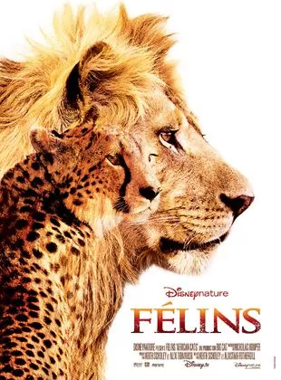 Affiche du film Félins