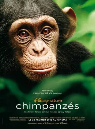 Affiche du film Chimpanzés