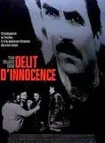 Affiche du film Délit d'innocence