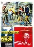 Affiche du film 7 Winchester pour un massacre