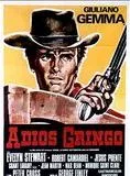Affiche du film Adios Gringo