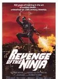 Affiche du film Ultime Violence - Ninja 2