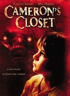 Affiche du film Le Placard de l'angoisse