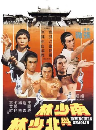 Affiche du film Fureur Shaolin