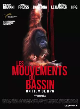 Affiche du film Les Mouvements du bassin