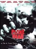 Affiche du film Des Zombies dans l'avion (V)