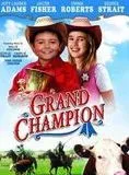 Affiche du film Grand Champion