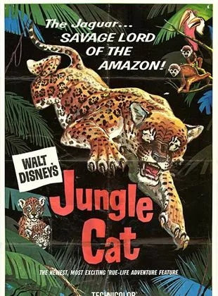 Affiche du film Jungle Cat
