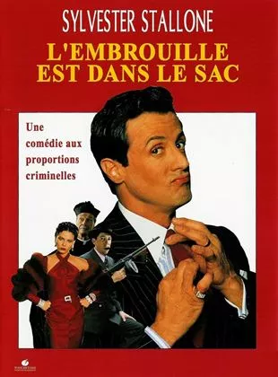 Affiche du film L'Embrouille est dans le sac