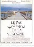 Affiche du film Le Pas suspendu de la cigogne