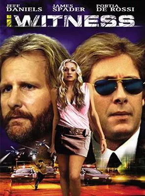 Affiche du film Témoin à risques