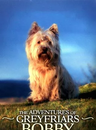 Affiche du film The Adventures Of Greyfriars Bobby