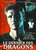 Affiche du film Le dernier des dragons