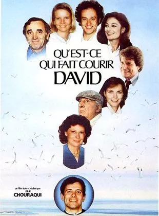 Affiche du film Qu'est-ce qui fait courir David ?