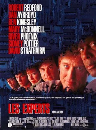 Affiche du film Les Experts