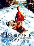 Affiche du film L'Incroyable Voyage