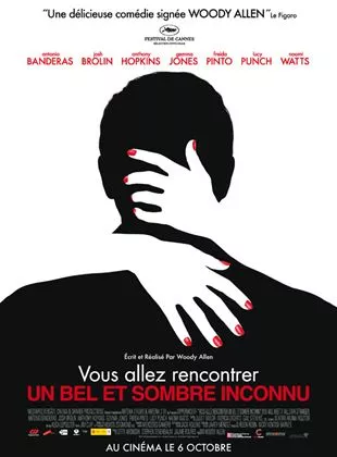 Affiche du film Vous allez rencontrer un bel et sombre inconnu