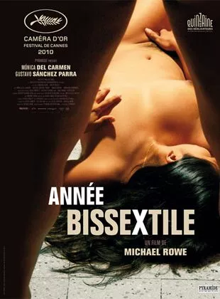 Affiche du film Année Bissextile