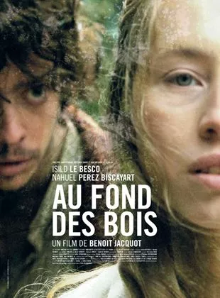 Affiche du film Au fond des bois