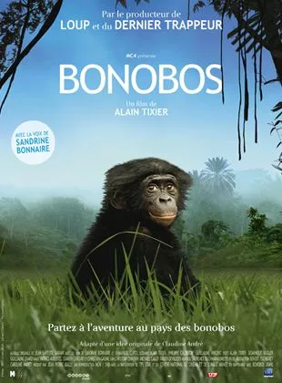 Affiche du film Bonobos