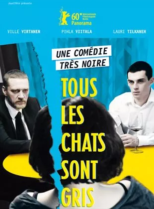 Affiche du film Tous les chats sont gris