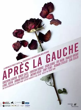 Affiche du film Après la gauche