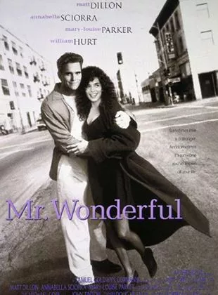 Affiche du film Mr. Wonderful