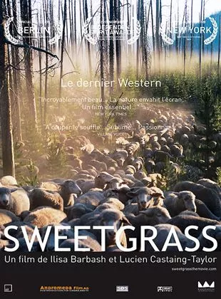 Affiche du film Sweetgrass