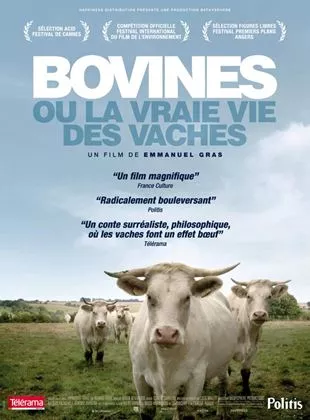 Affiche du film Bovines