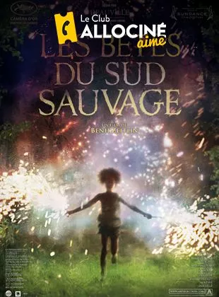 Affiche du film Les Bêtes du sud sauvage