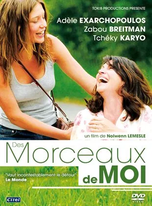 Affiche du film Des Morceaux de Moi