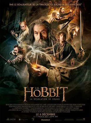 Affiche du film Le Hobbit : la Désolation de Smaug