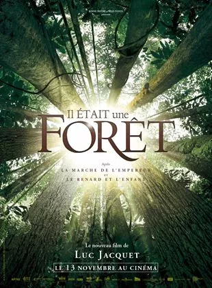 Affiche du film Il était une forêt