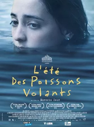 Affiche du film L'Eté des poissons volants