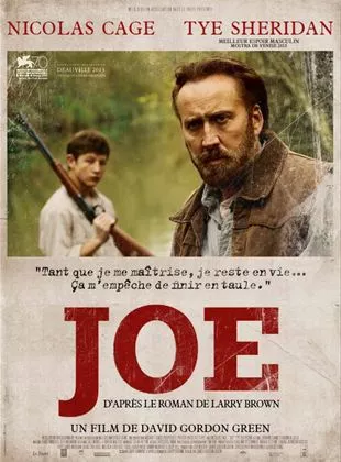 Affiche du film Joe