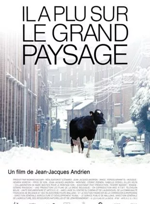 Affiche du film Il a plu sur le grand paysage