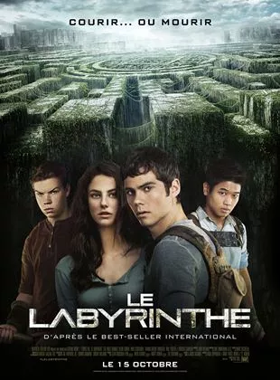 Affiche du film Le Labyrinthe