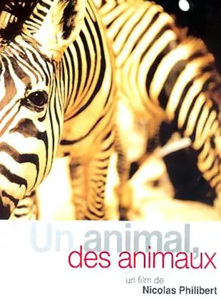 Affiche du film Un animal, des animaux