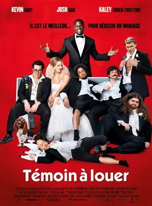 Affiche du film Témoin à louer