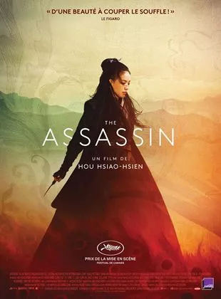 Affiche du film The Assassin