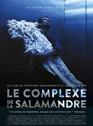 Affiche du film Le complexe de la salamandre