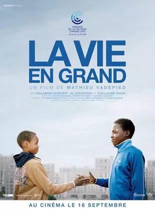 Affiche du film La Vie en grand