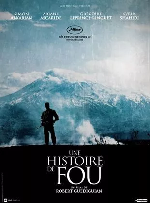 Affiche du film Une histoire de fou