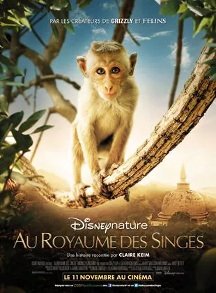 Affiche du film Au Royaume des Singes