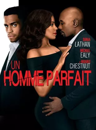 Affiche du film Un Homme Parfait