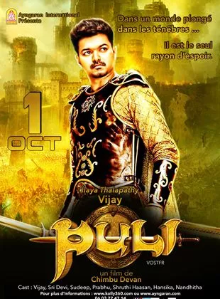 Affiche du film Puli